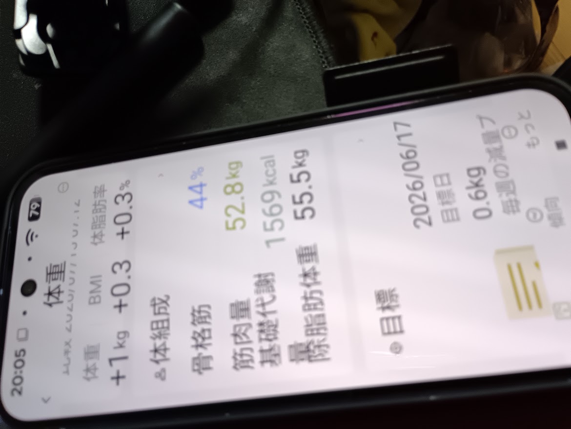 9月23日の体組成の記録