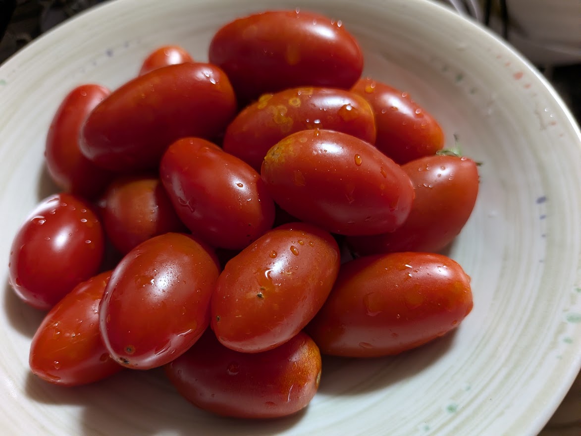 このお皿のトマトも一人で全部