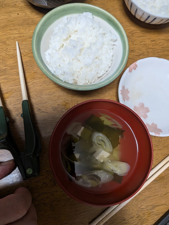 夕食のご飯一膳と汁物