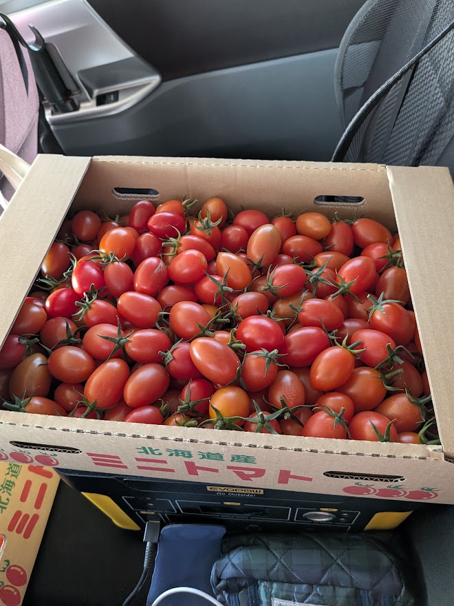 DCMで箱買いした、余市から来たトマト
