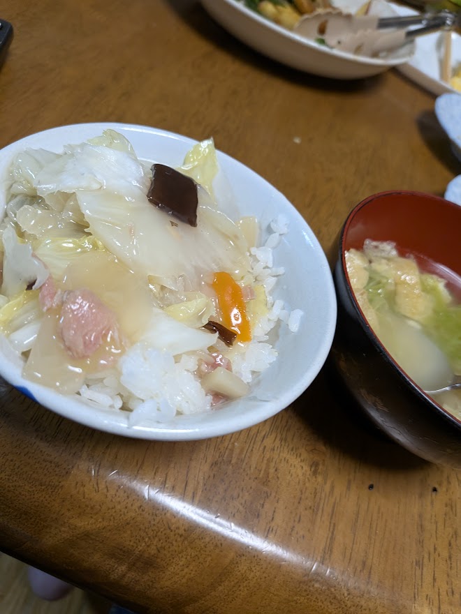 同じご飯を別の角度から記録。おかわりではありません