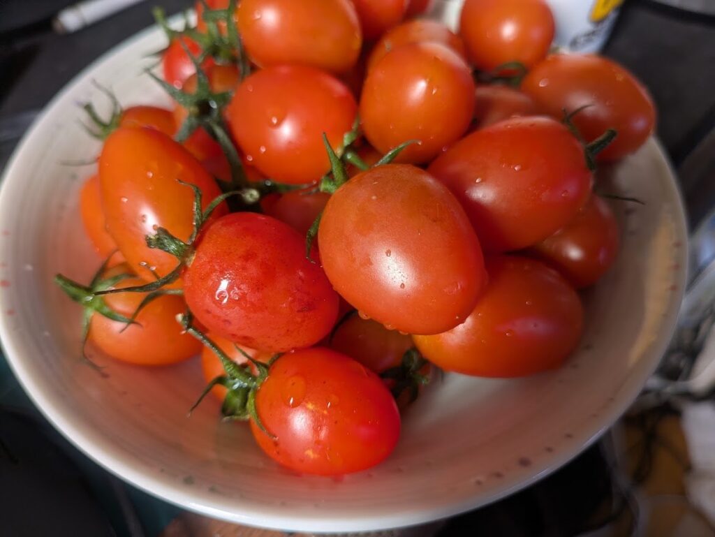 揚げ物の盛り合わせ