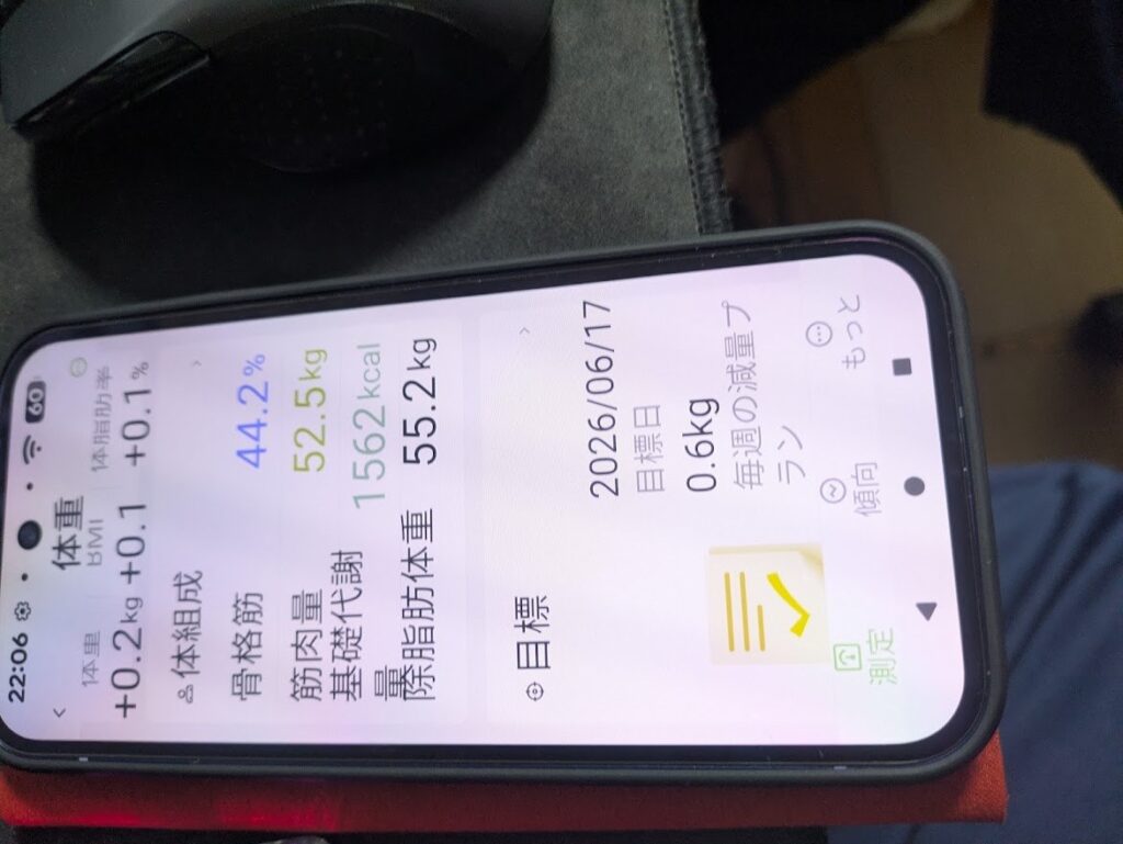 体組成の詳細画面。