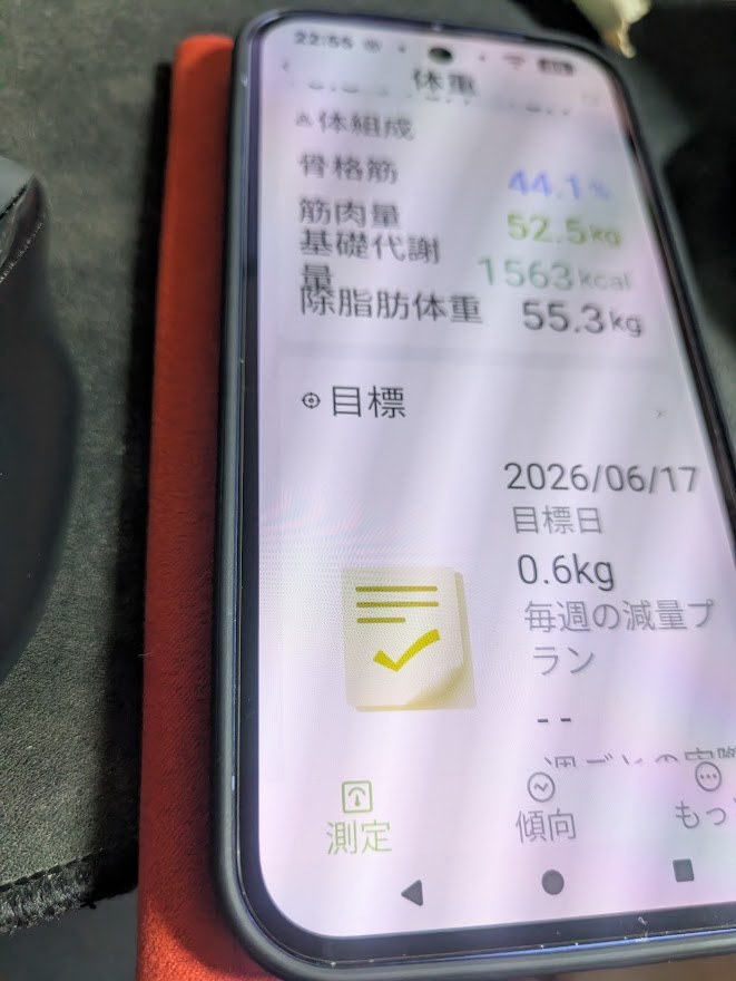 スマホで目標設定画面