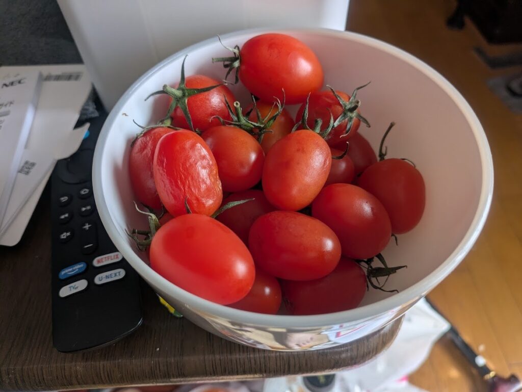 ミニトマトたっぷりのボウル