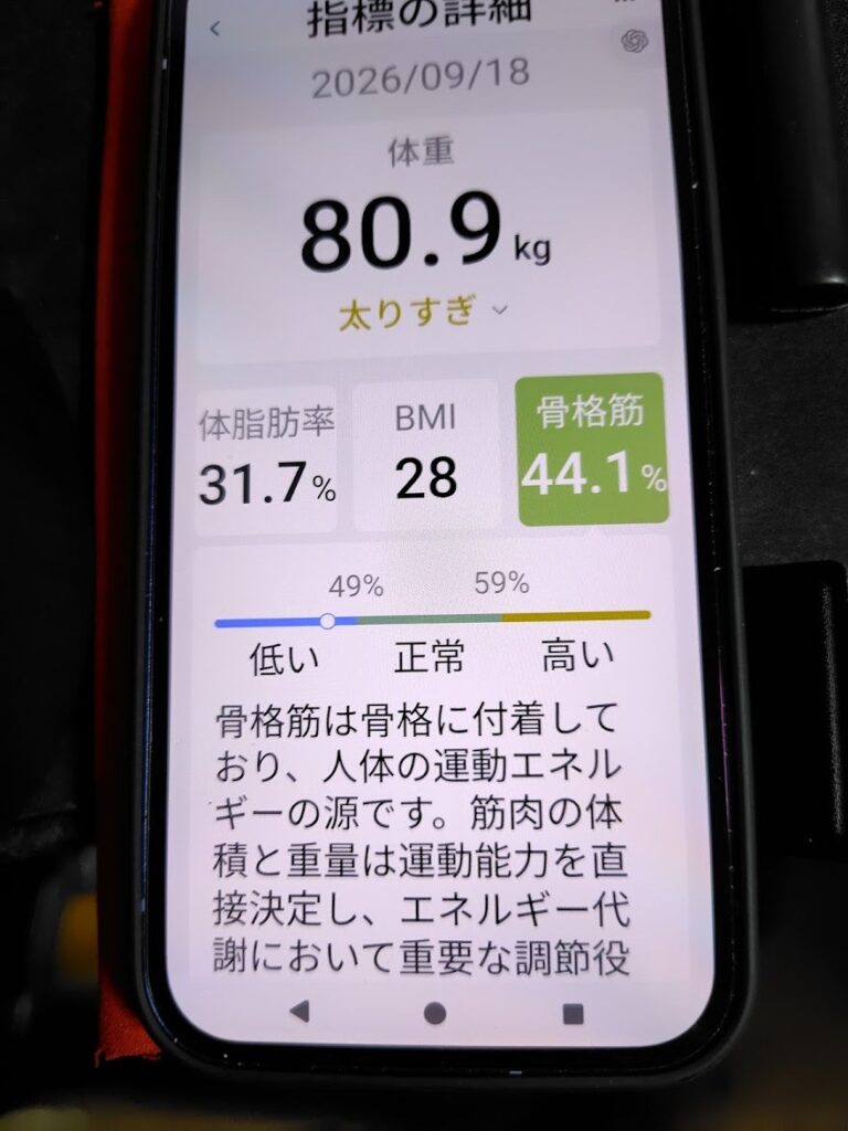 体組成計の測定結果(体重とBMIなど)
