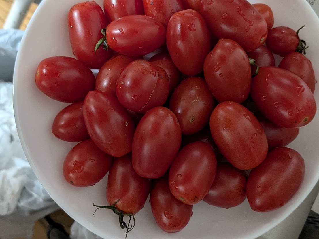 追加のトマト。この一皿も全部食べました