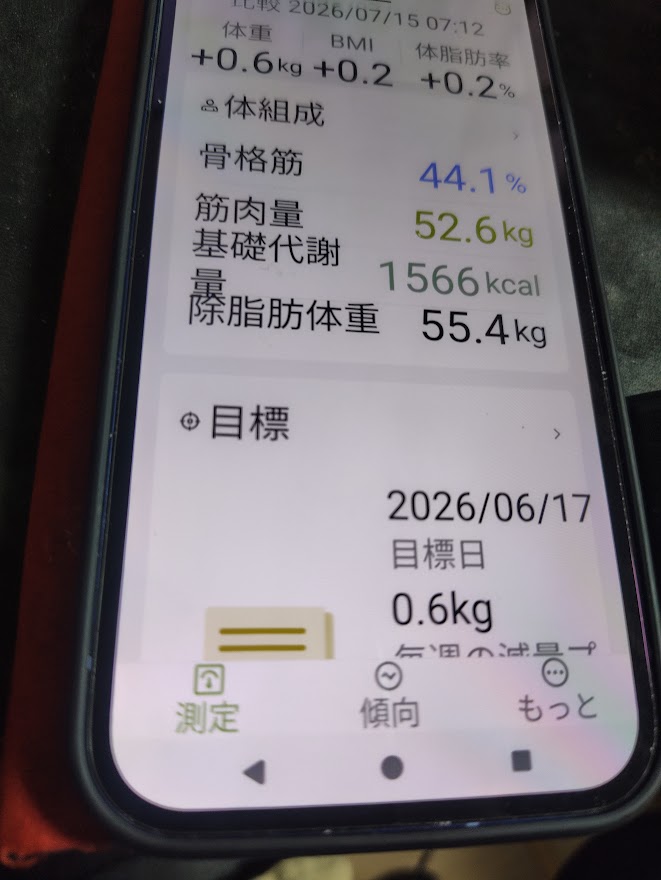 体組成の記録画面
