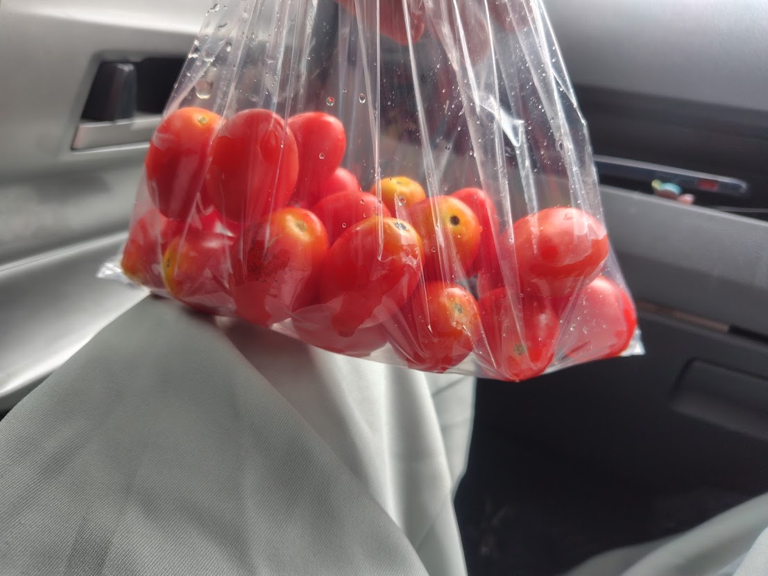 袋入りのトマト