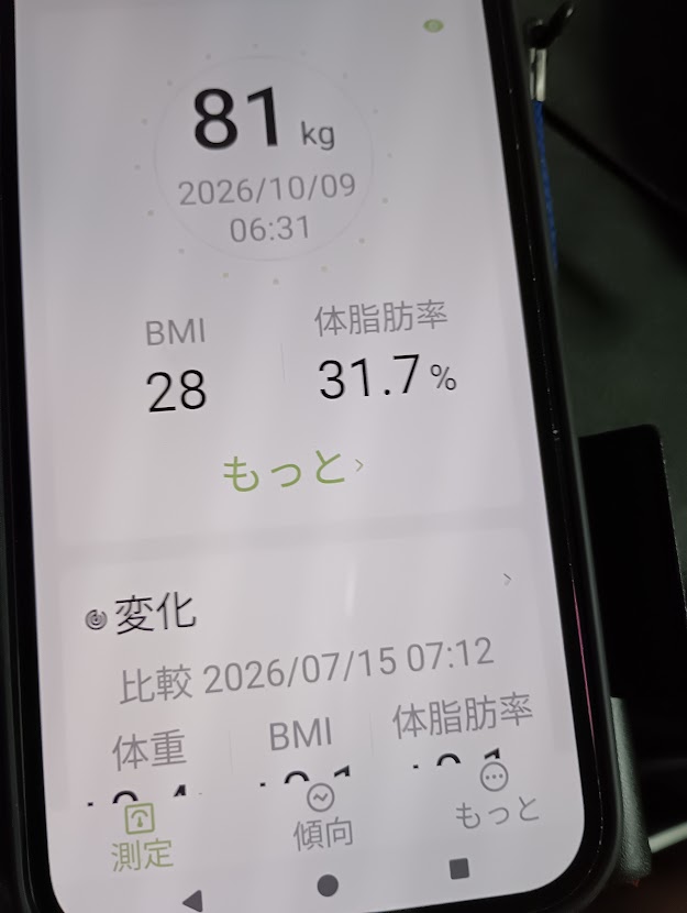 BMI28、体脂肪率31.7%