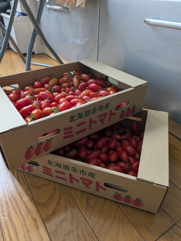 ミニトマトが入った2つの箱