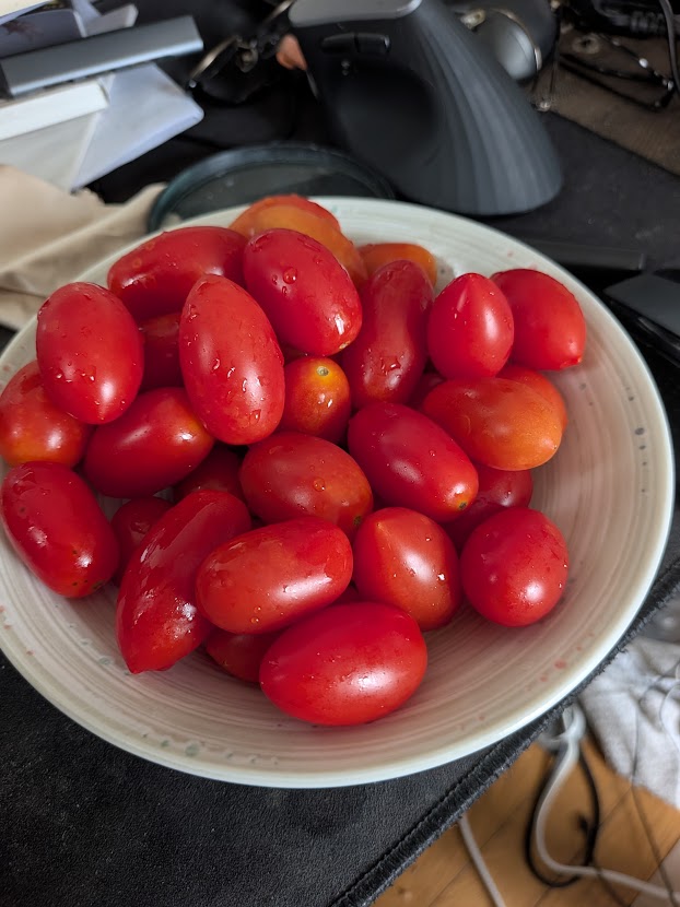 最初のトマトの皿