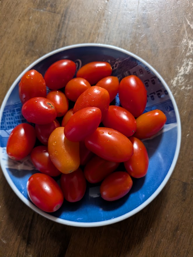 この日に食べたミニトマト。食べた量は行き帰り合わせて2袋