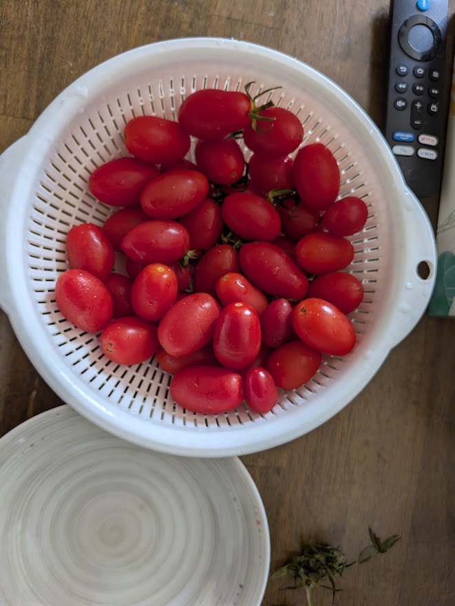 ざるのトマトは別の分。こちらも一人で食べました
