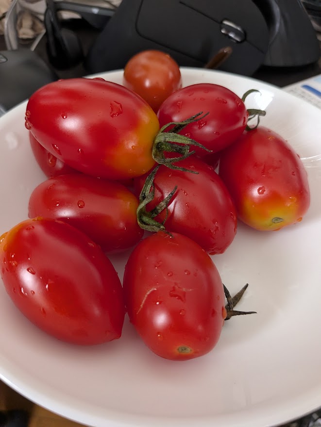 今日の食事写真