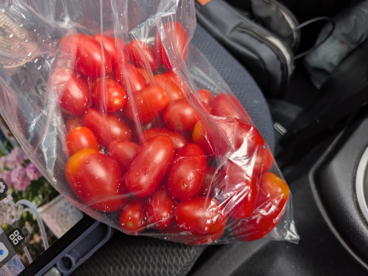 袋に入ったトマトは全部