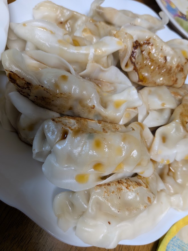 お皿の3分の2を食べた餃子