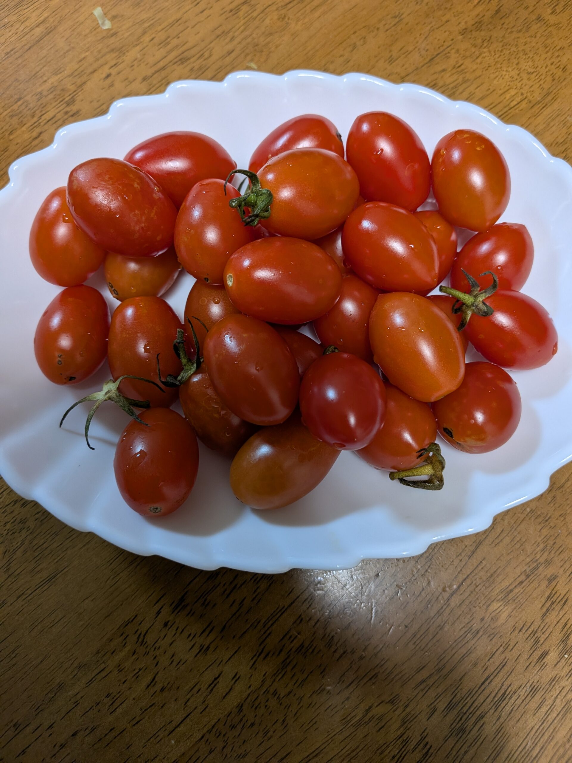皿に盛ったトマトの写真