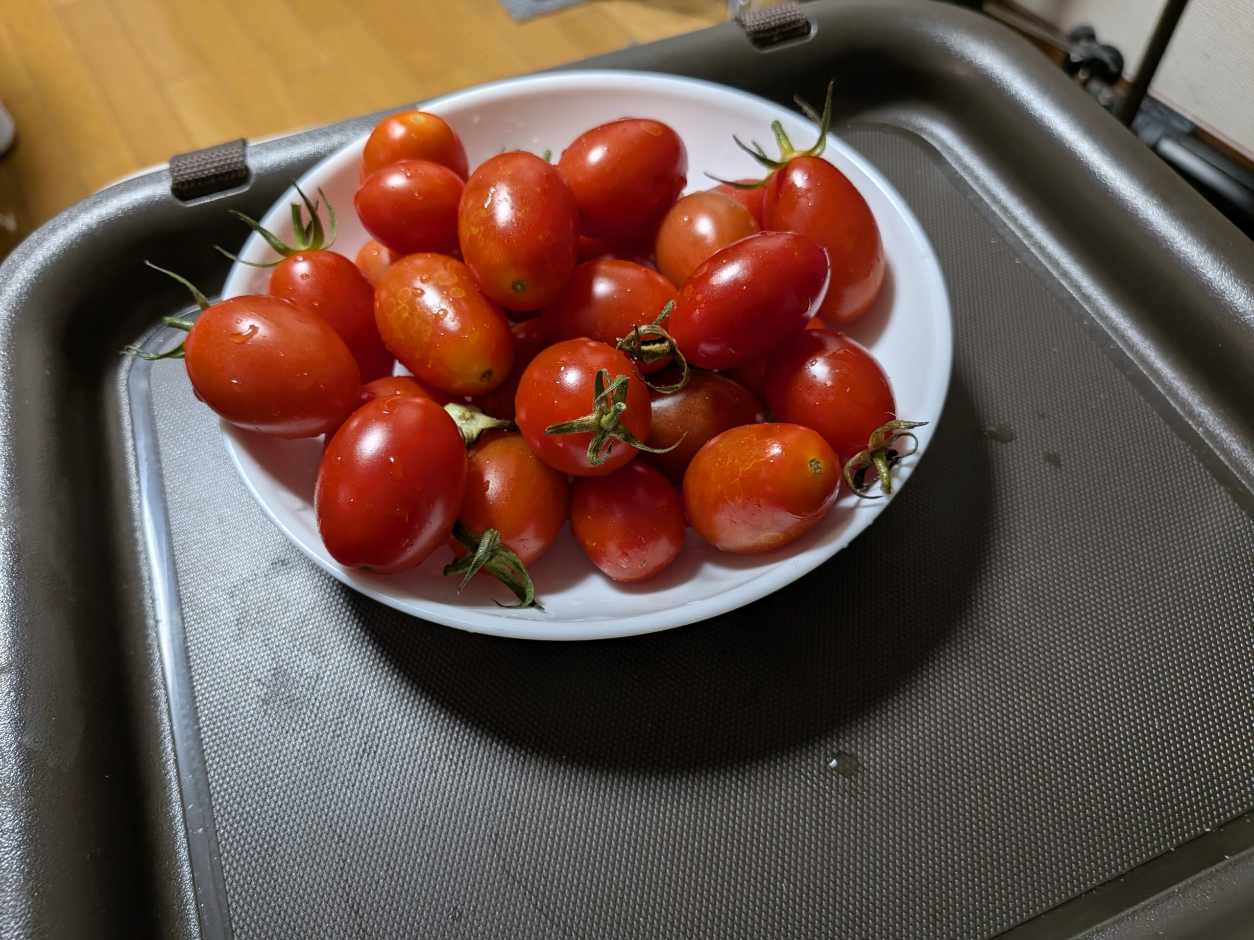トマトの写真