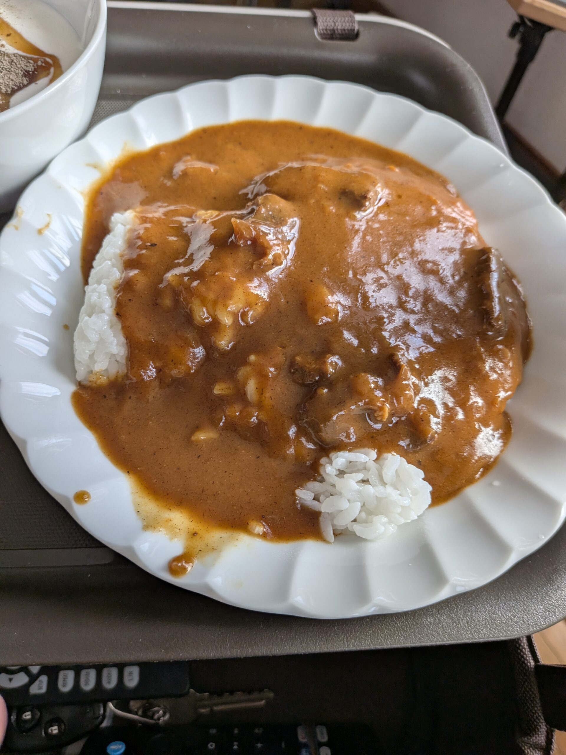 カレーは僕が1人で食べました
