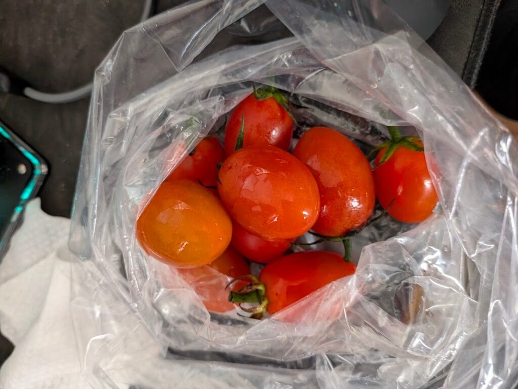 ホーマックで箱買いしているトマト