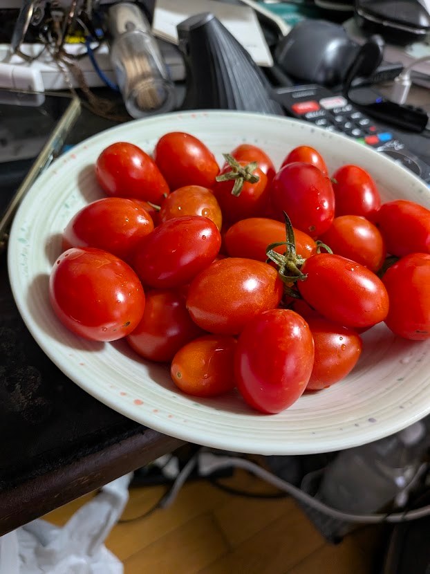 ミニトマトの写真