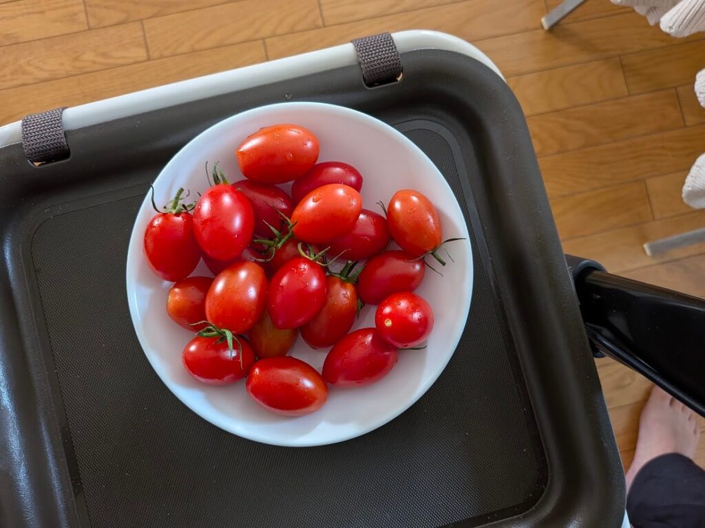 ミニトマトの写真