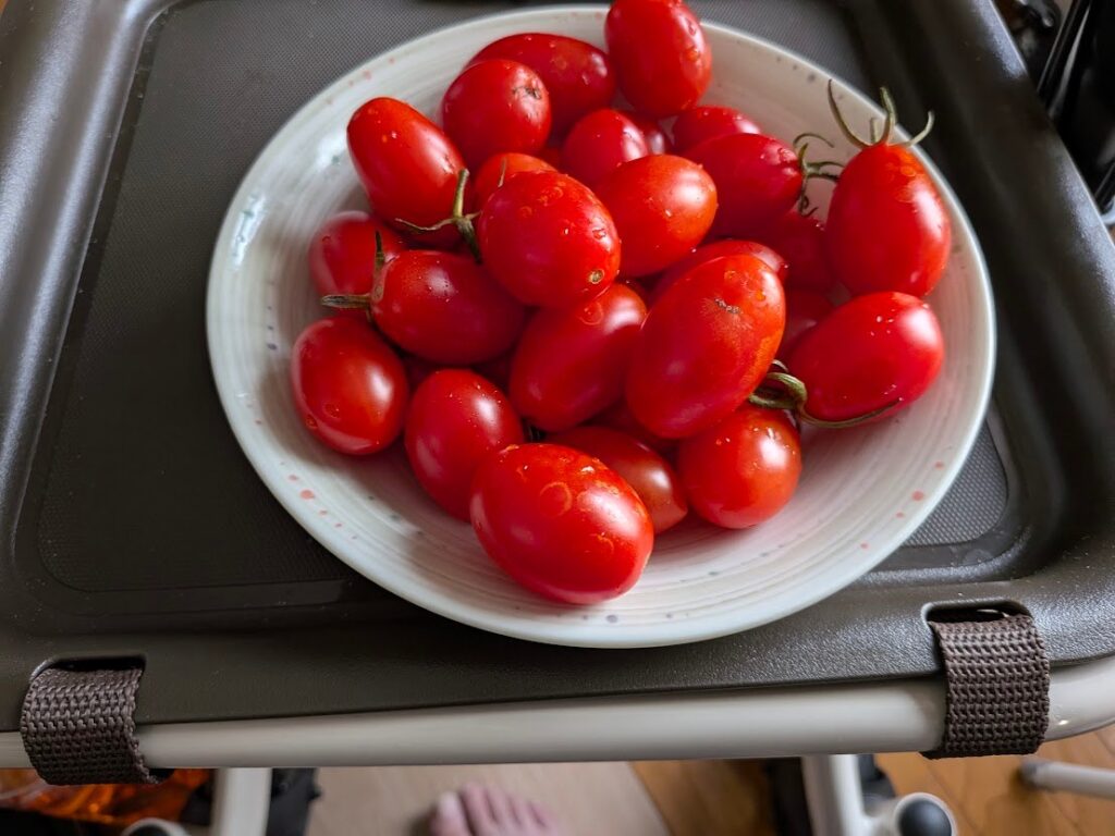 ミニトマトの写真