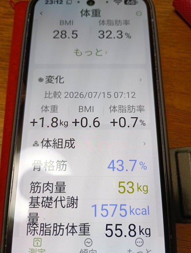BMI28.5・体脂肪率32.3%などの記録