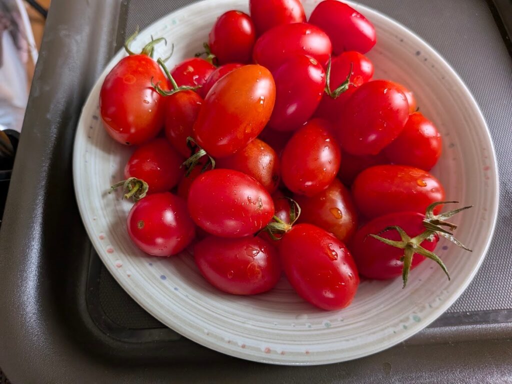 洗ったばかりのミニトマトの皿