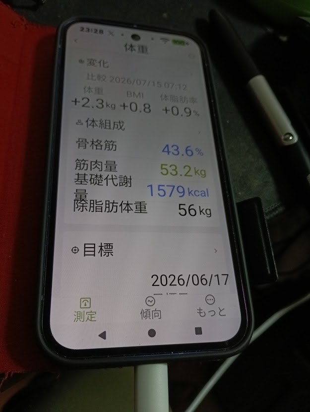 体組成の記録画面